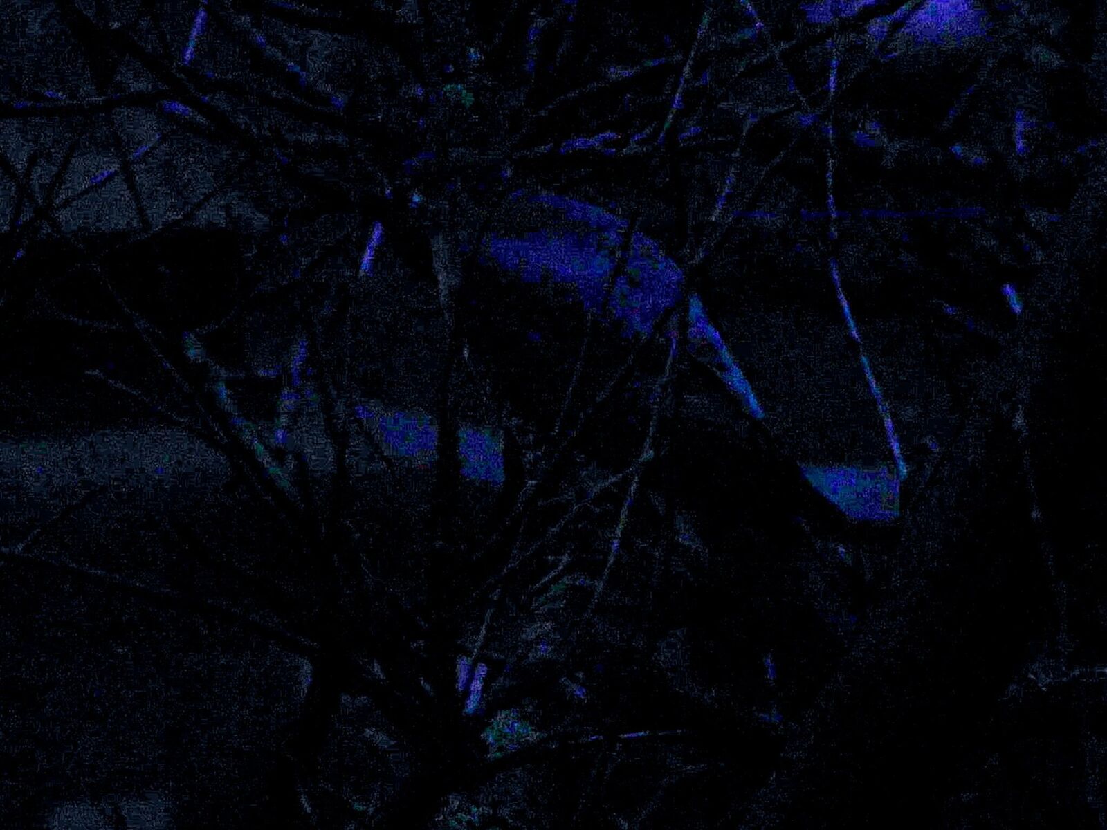 Gallery image of the project Sensitivity in Low Light Conditions