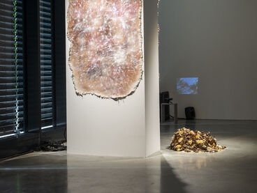 Ausstellung im Multispecies Studio
