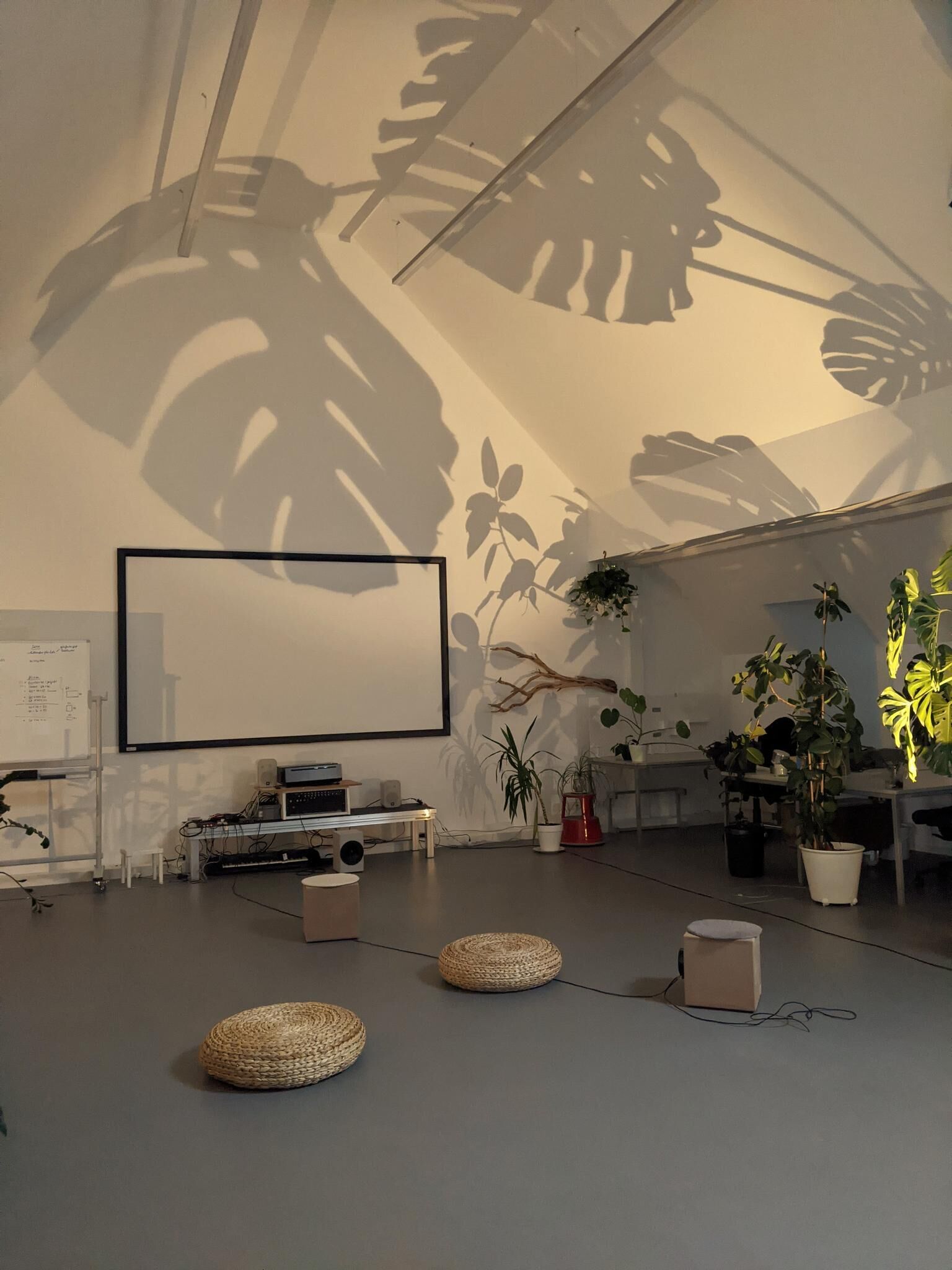 Cover image of the project Silent Emergency Call 