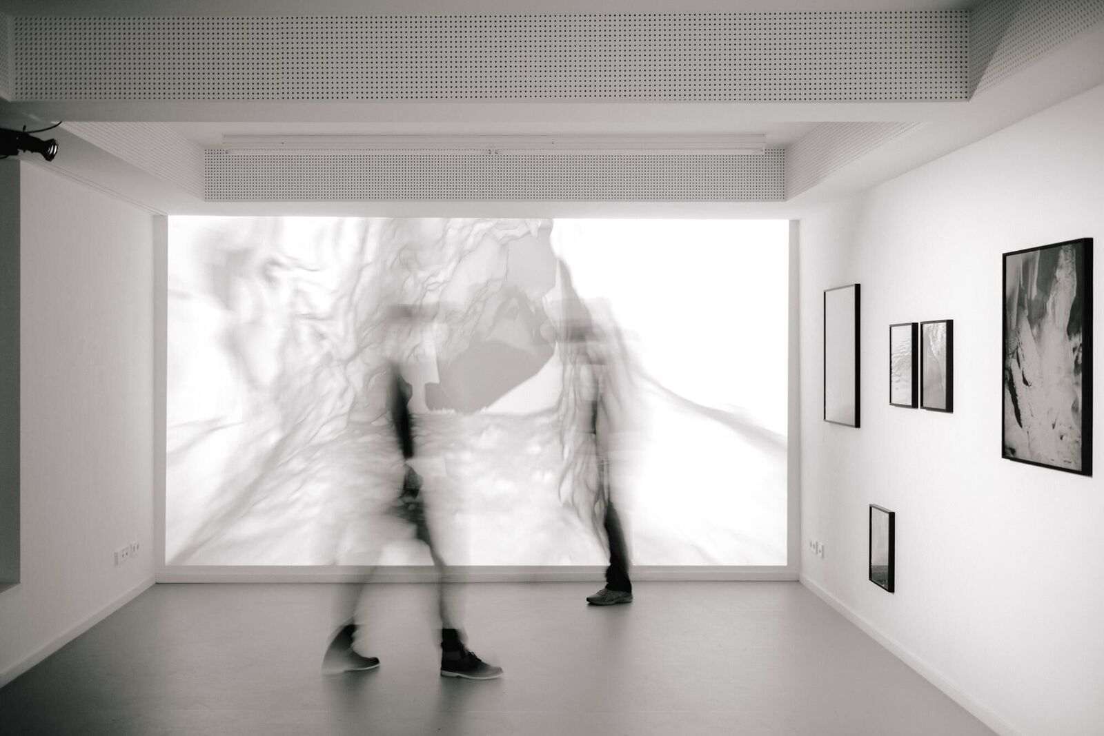 Cover image of the project Given enough eyeballs, all bugs are shallow