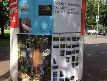 Aktion Kölner Litfaßsäulen