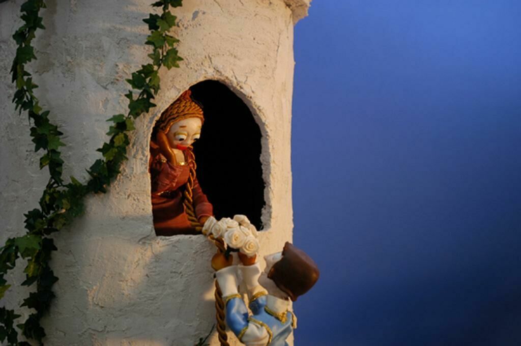 Cover image of the project Rapunzel lass dein Haar herunter