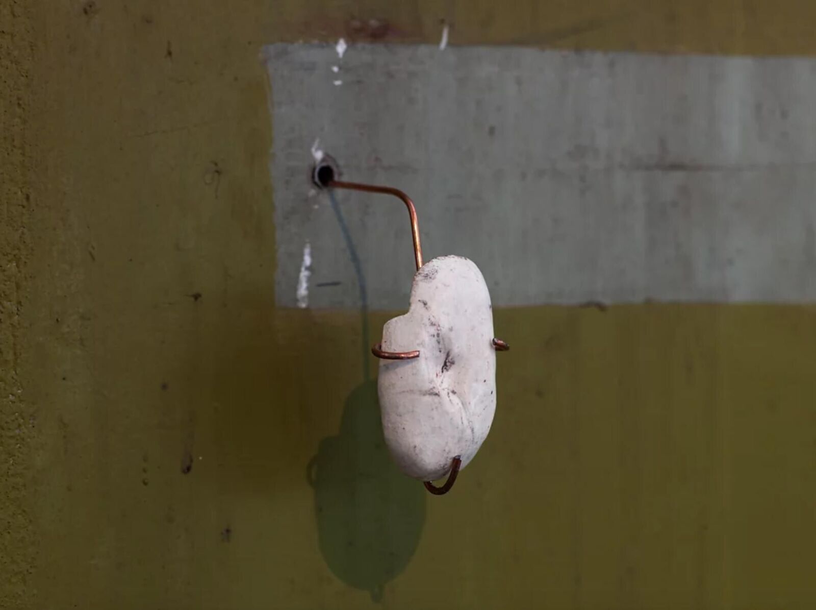 Gallery image of the project The haunted villa of Spetses