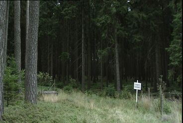 Zeit ohne Eltern Gallery image of the project Time without Parents