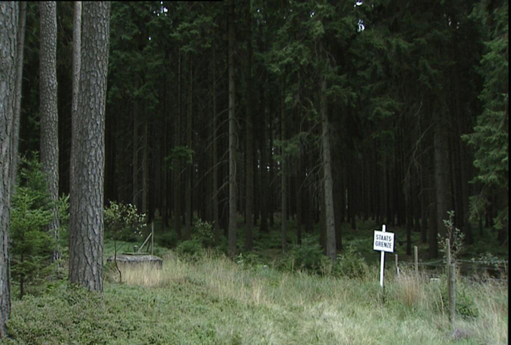 Gallery image of the project Time without Parents