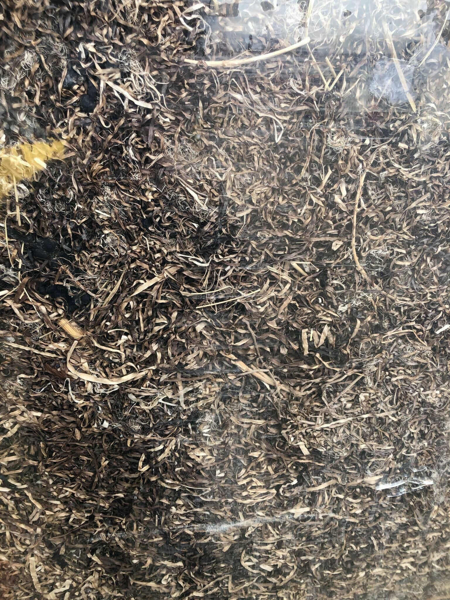 Gallery image of the project Kollektives Klopfen