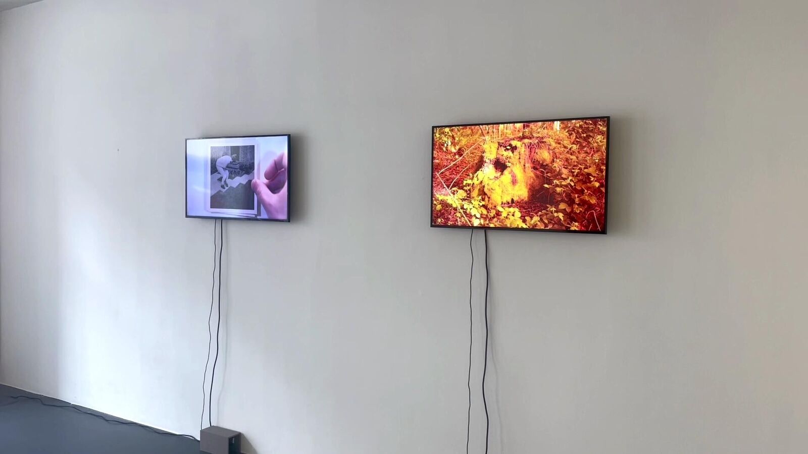 Gallery image of the project DEATHROCK