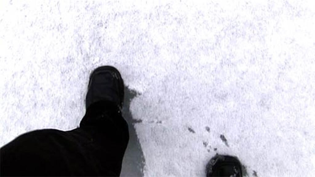 Cover image of the project The White Tape 