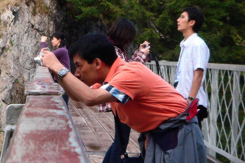 Cover image of the project New Tomorrow 