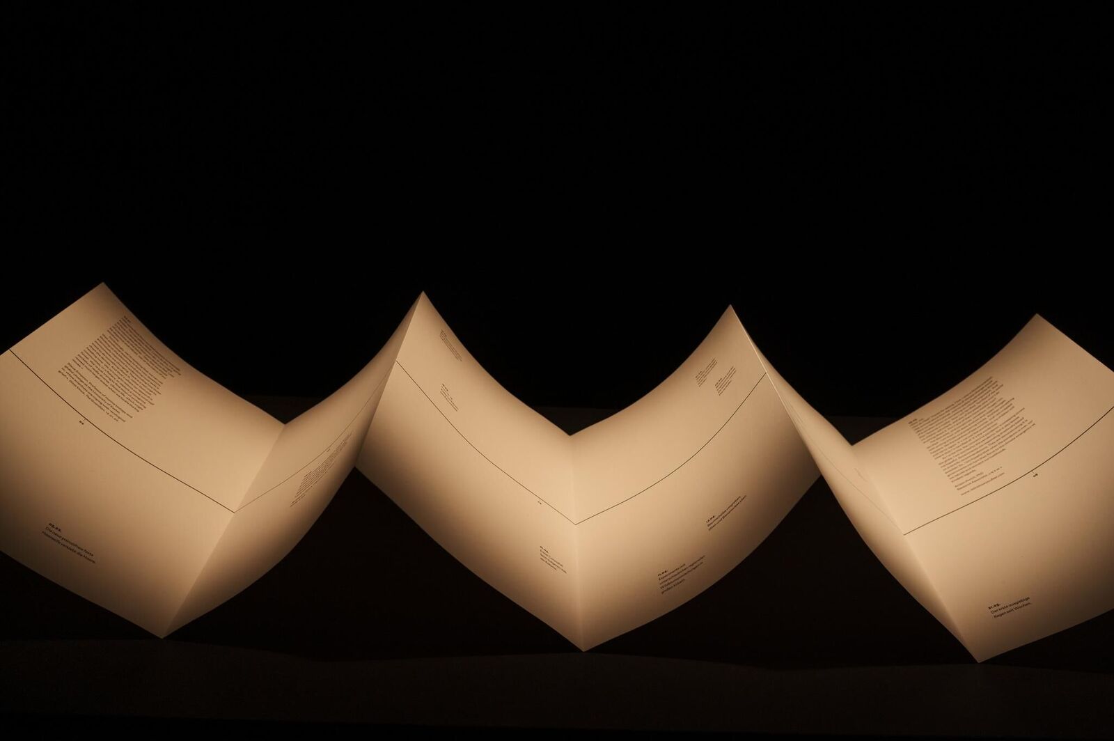 Gallery image of the project «Dann kommen ja die grünen Vögel nicht mehr wieder, wenn die Kastanien weg sind»