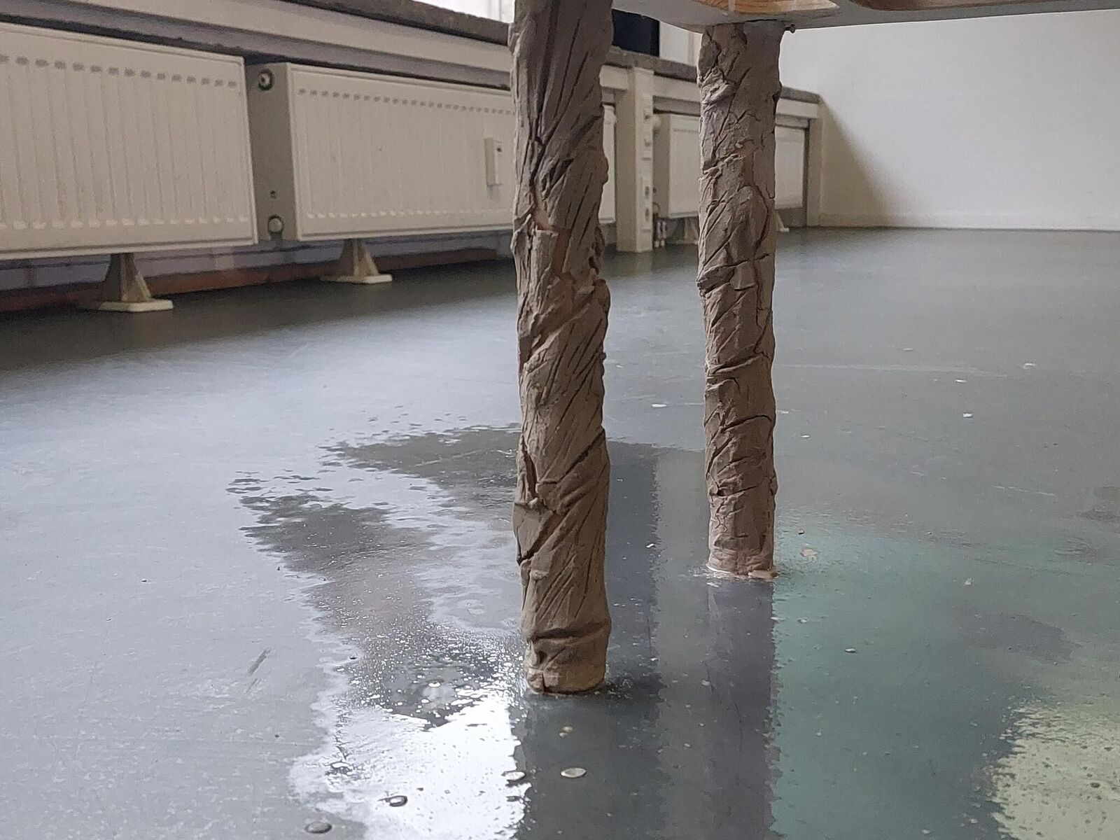 Gallery image of the project free immersion notes