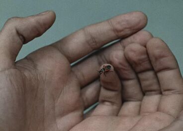 Cover image of the project Residuum