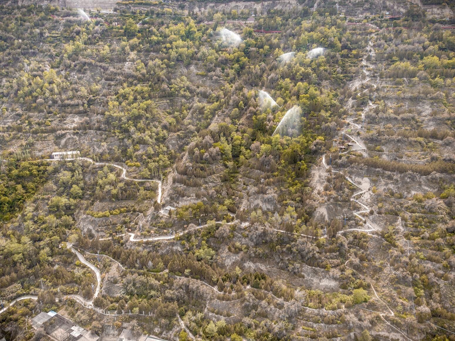 Cover image of the project Liang Zhu’s Diploma Project