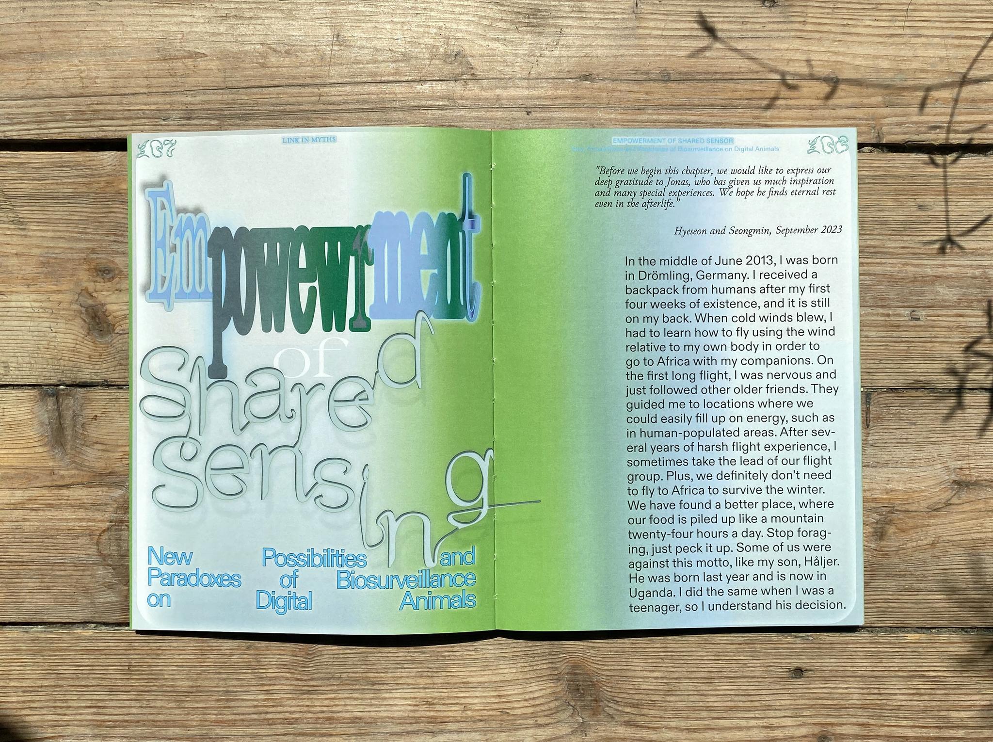 Gallery image of the project Link in Myths