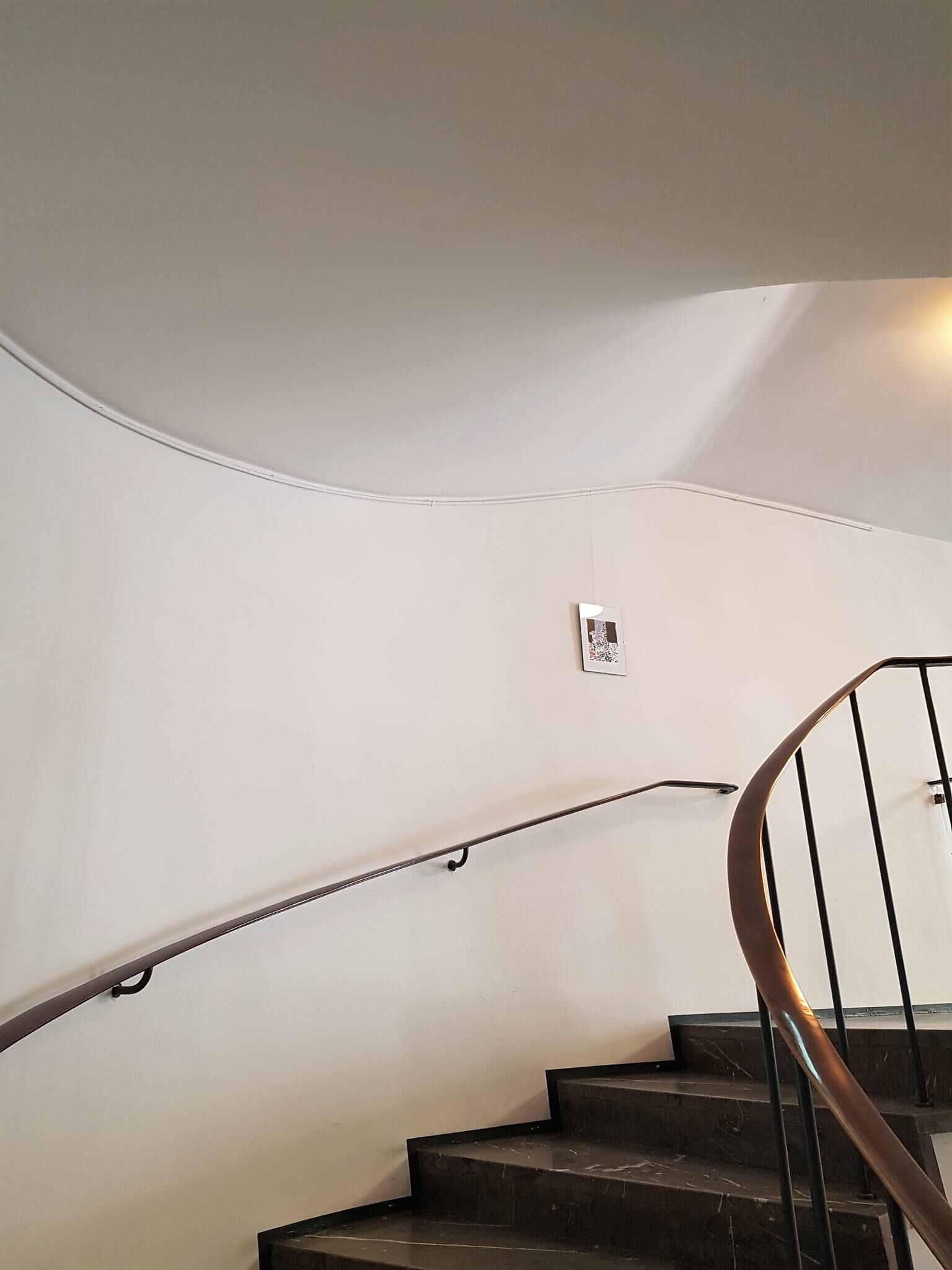 Gallery image of the project Körper und Blumen