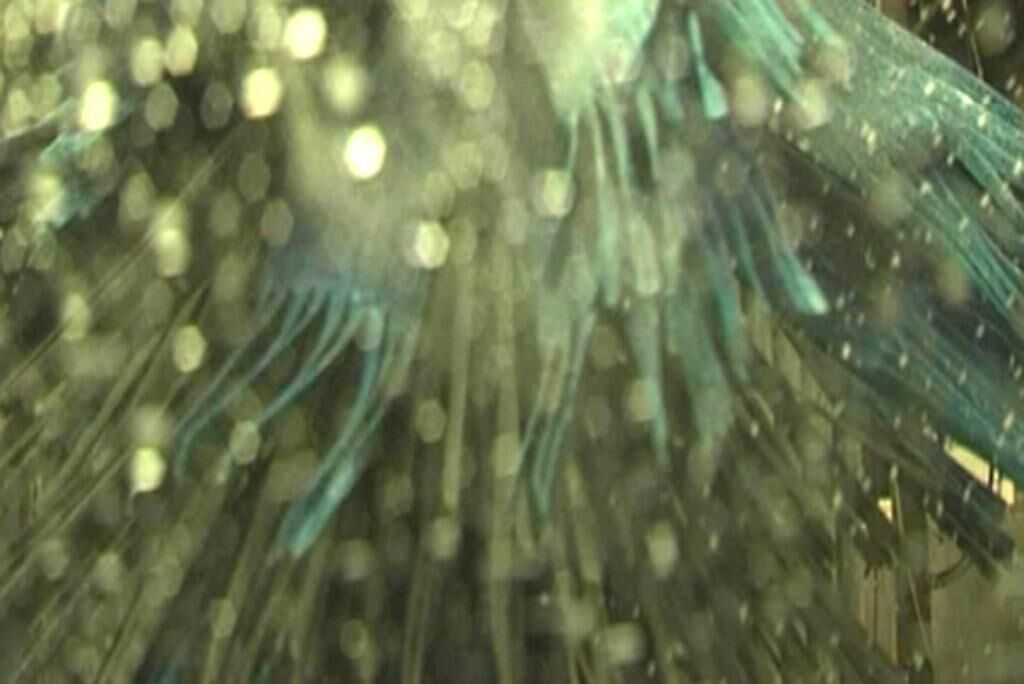 Cover image of the project Car Wash