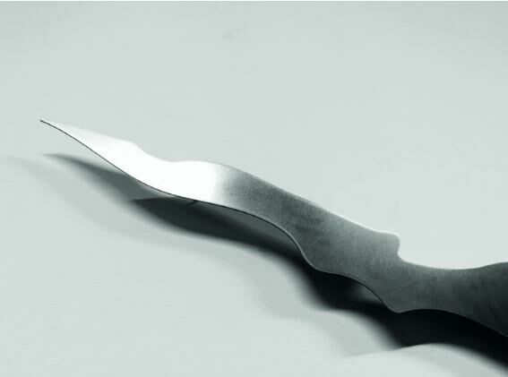 Gallery image of the project Walter Palmer Shot A Lion: The Sequel