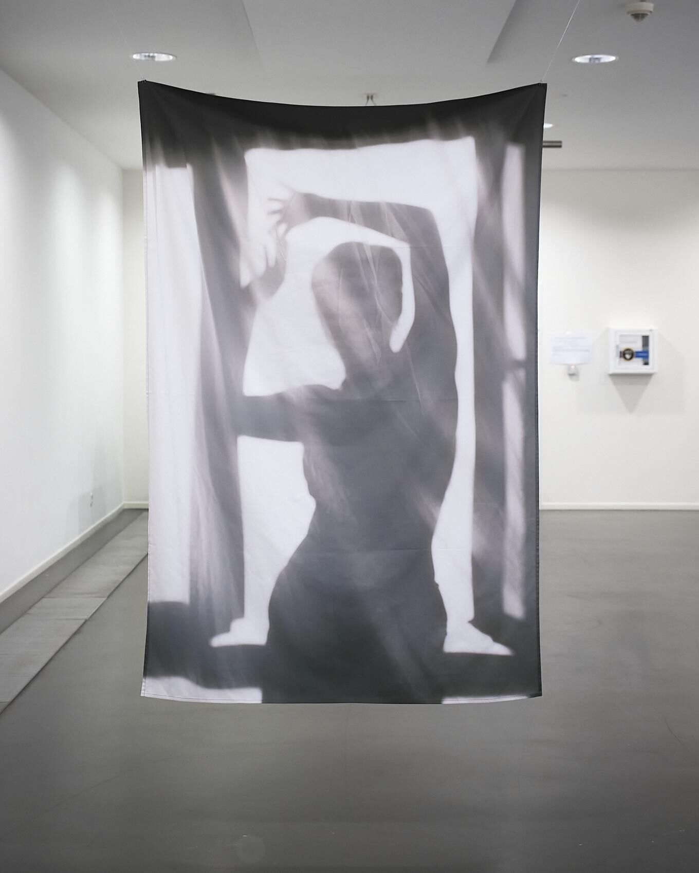 Gallery image of the project “Dear Camera...“