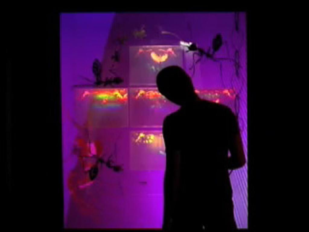 Gallery image of the project 1.ant.ity