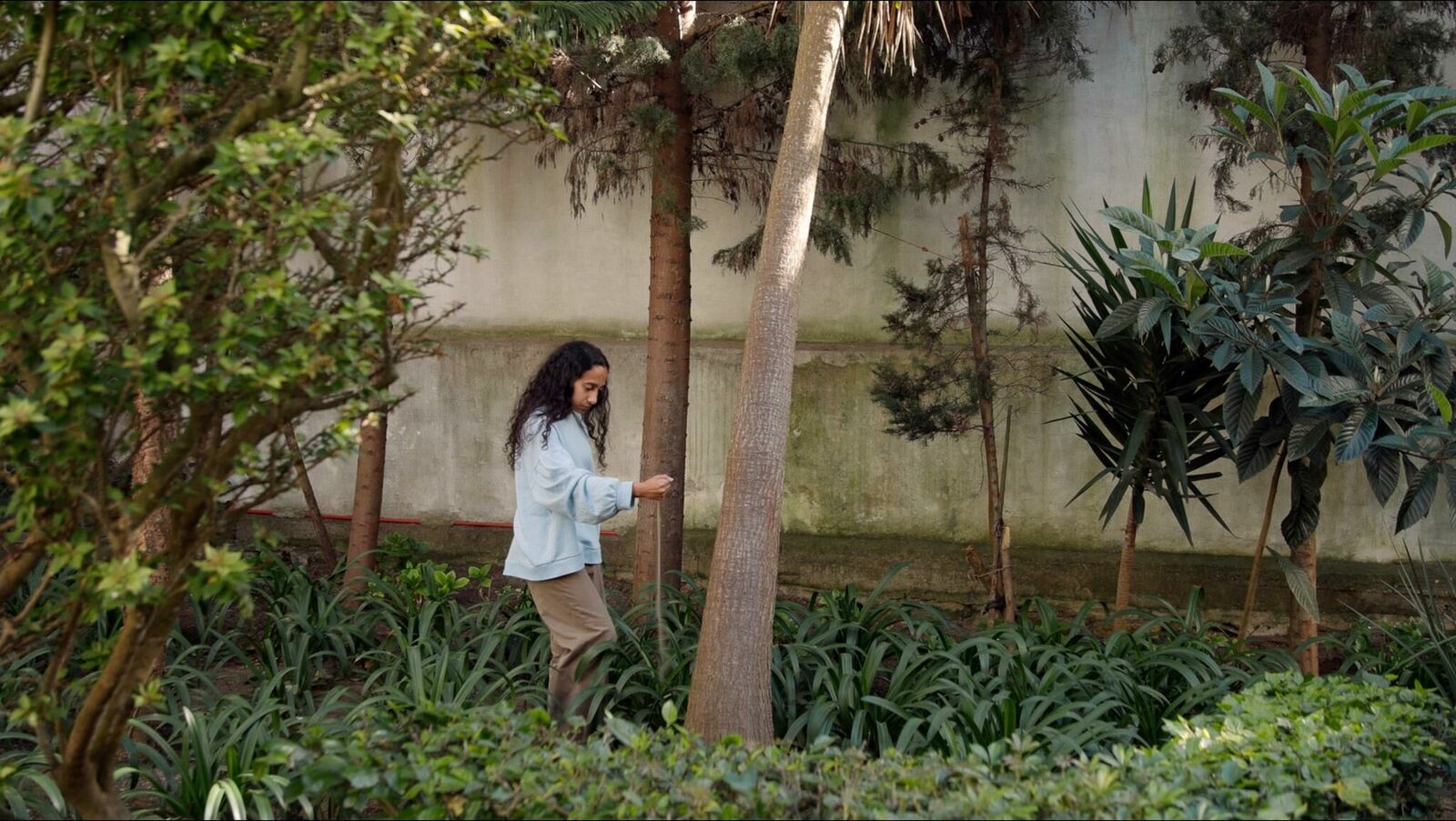 Gallery image of the project تَناثُر البحر (Scattered Sea) 