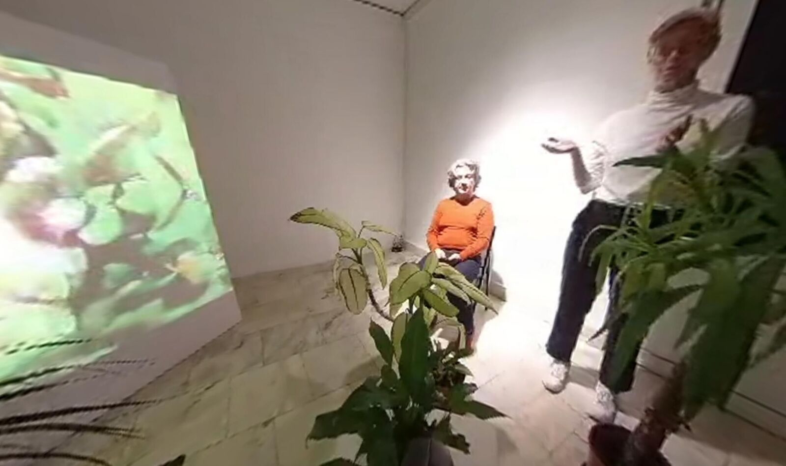 Gallery image of the project Svan/Nectar 