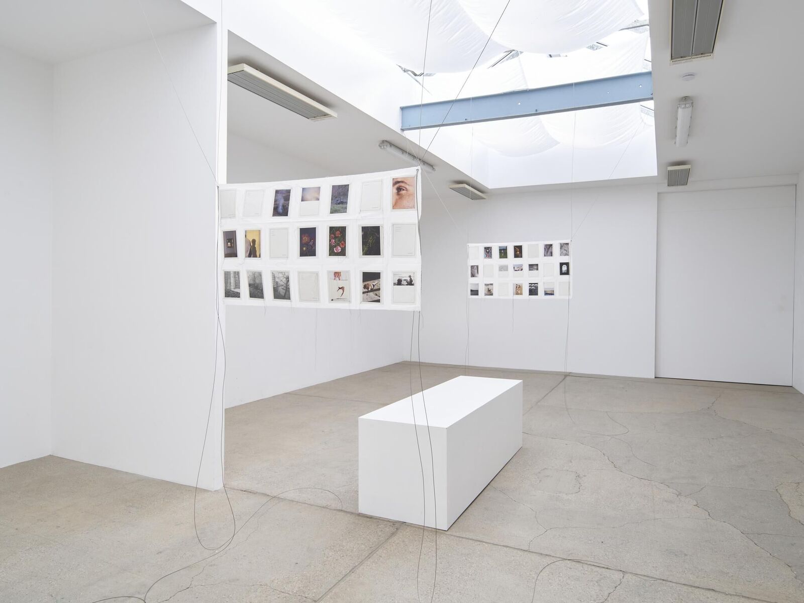 Gallery image of the project IN MY HANDS - Issue 7 - An den Spitzen nur Wurzeln