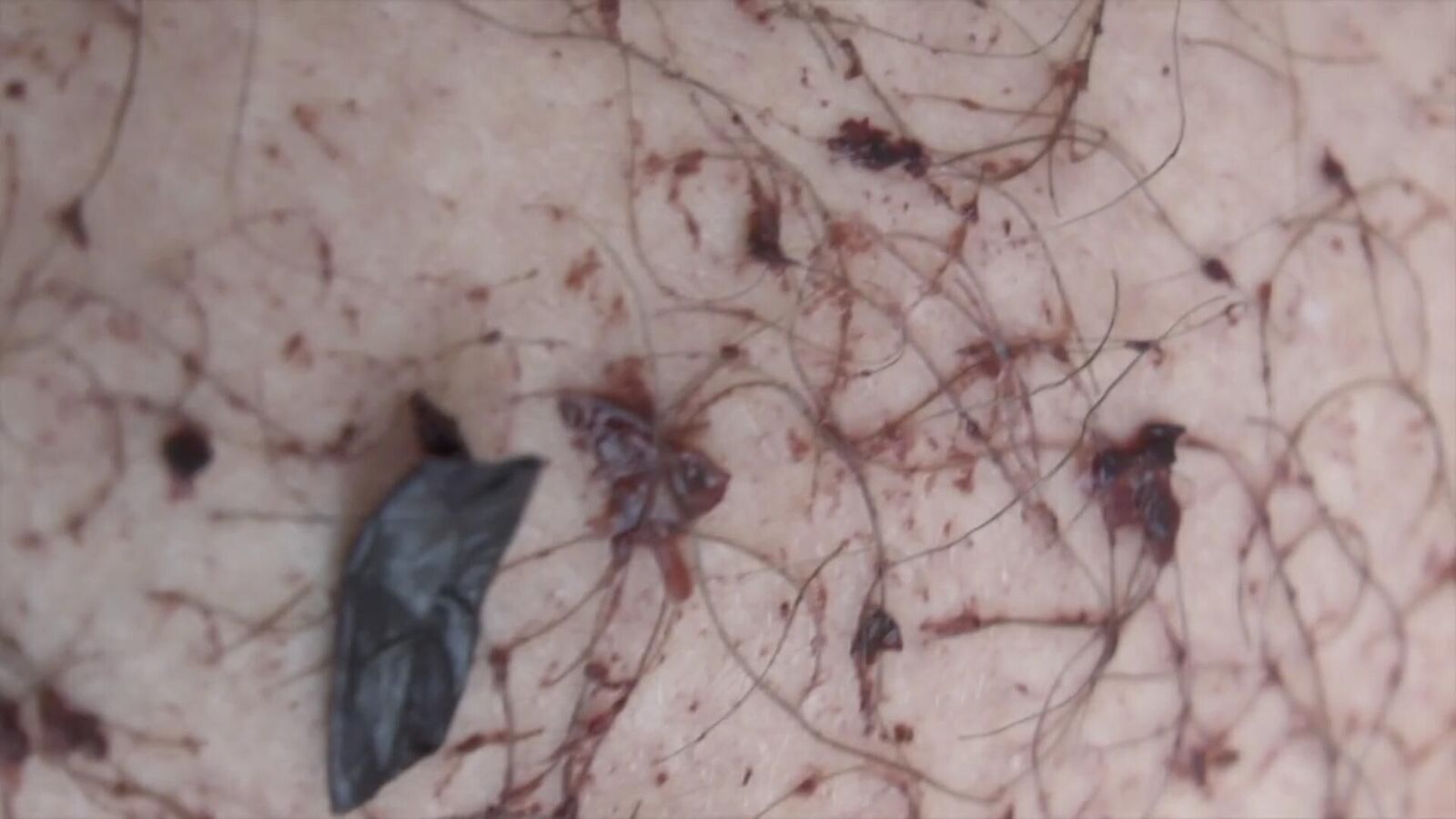 Gallery image of the project Vino Dance