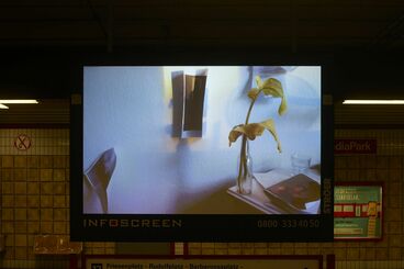 „Stillleben o.T.” von Luise Flügge Gallery image of the project Public Space Video