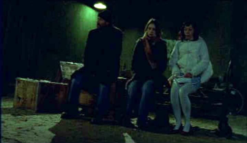 Cover image of the project Nachtfalter