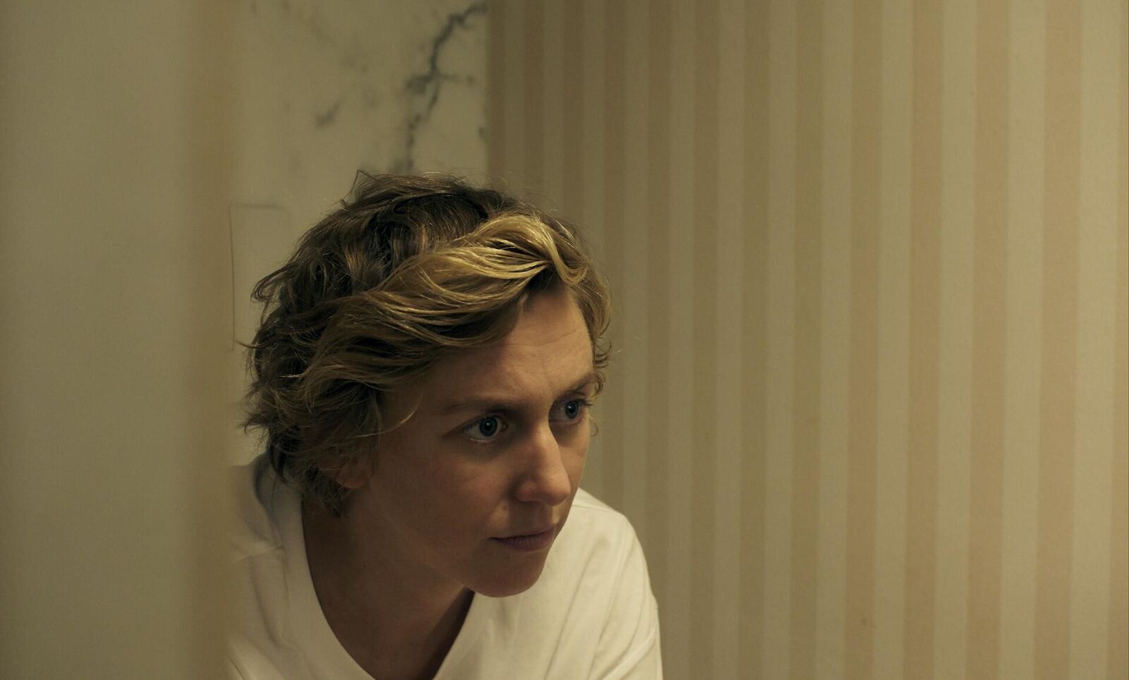 Gallery image of the project M.