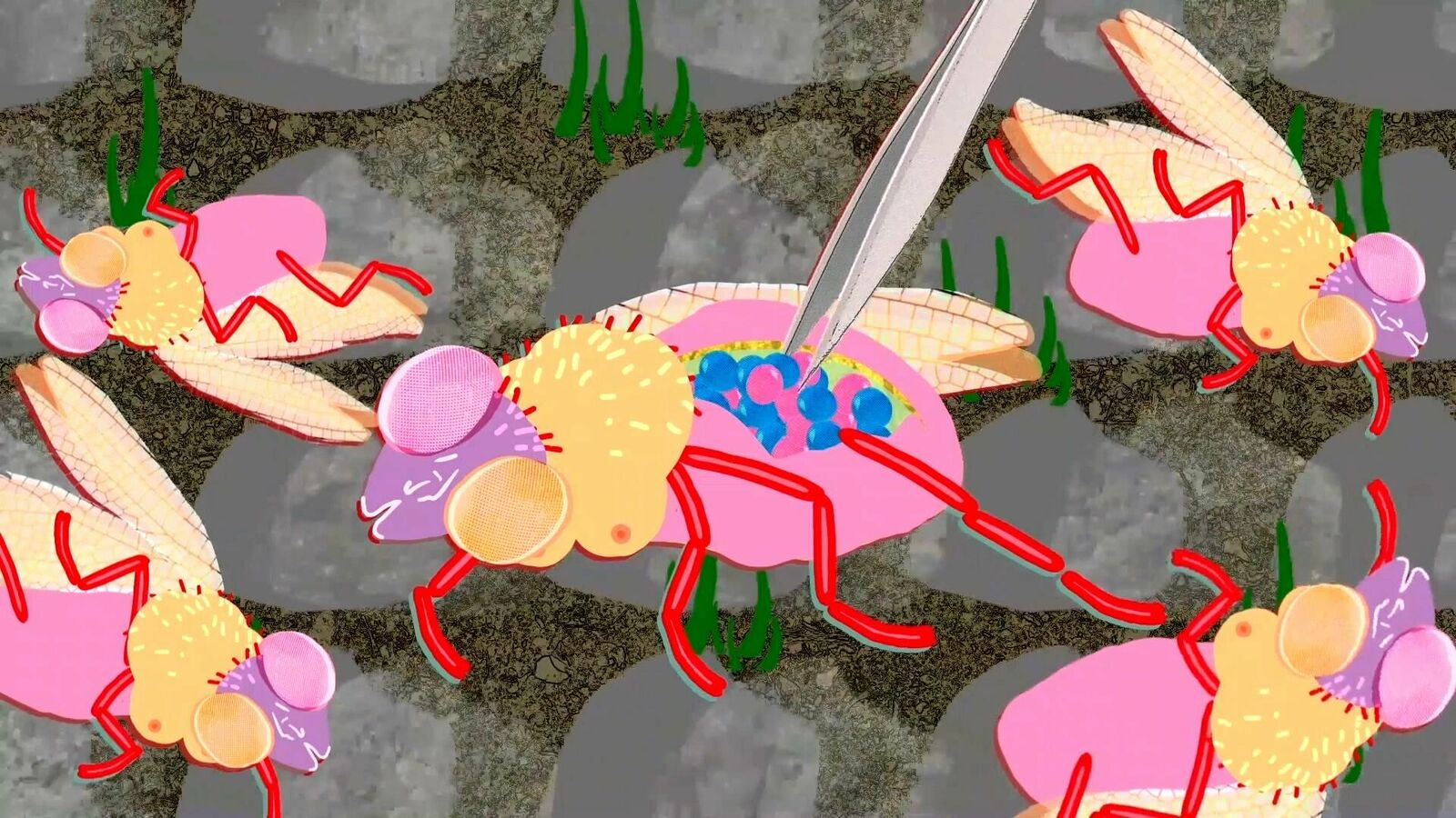 Gallery image of the project The city of ladies