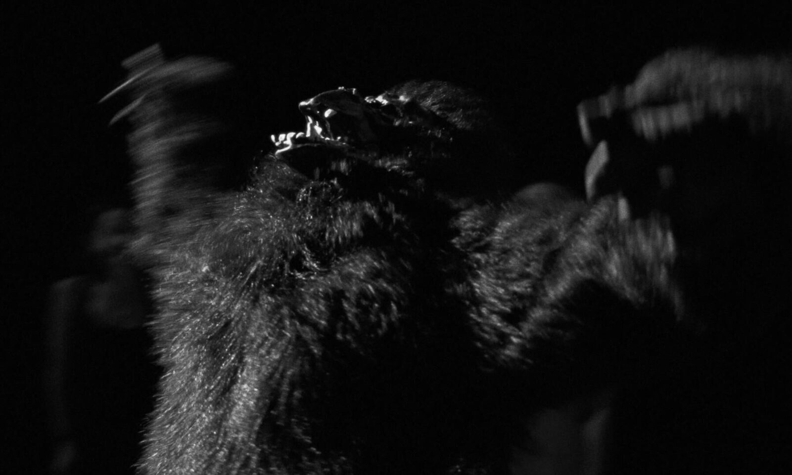 Gallery image of the project POSTKIDS