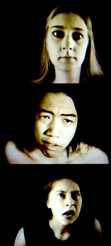 Cover image of the project Still Creatures