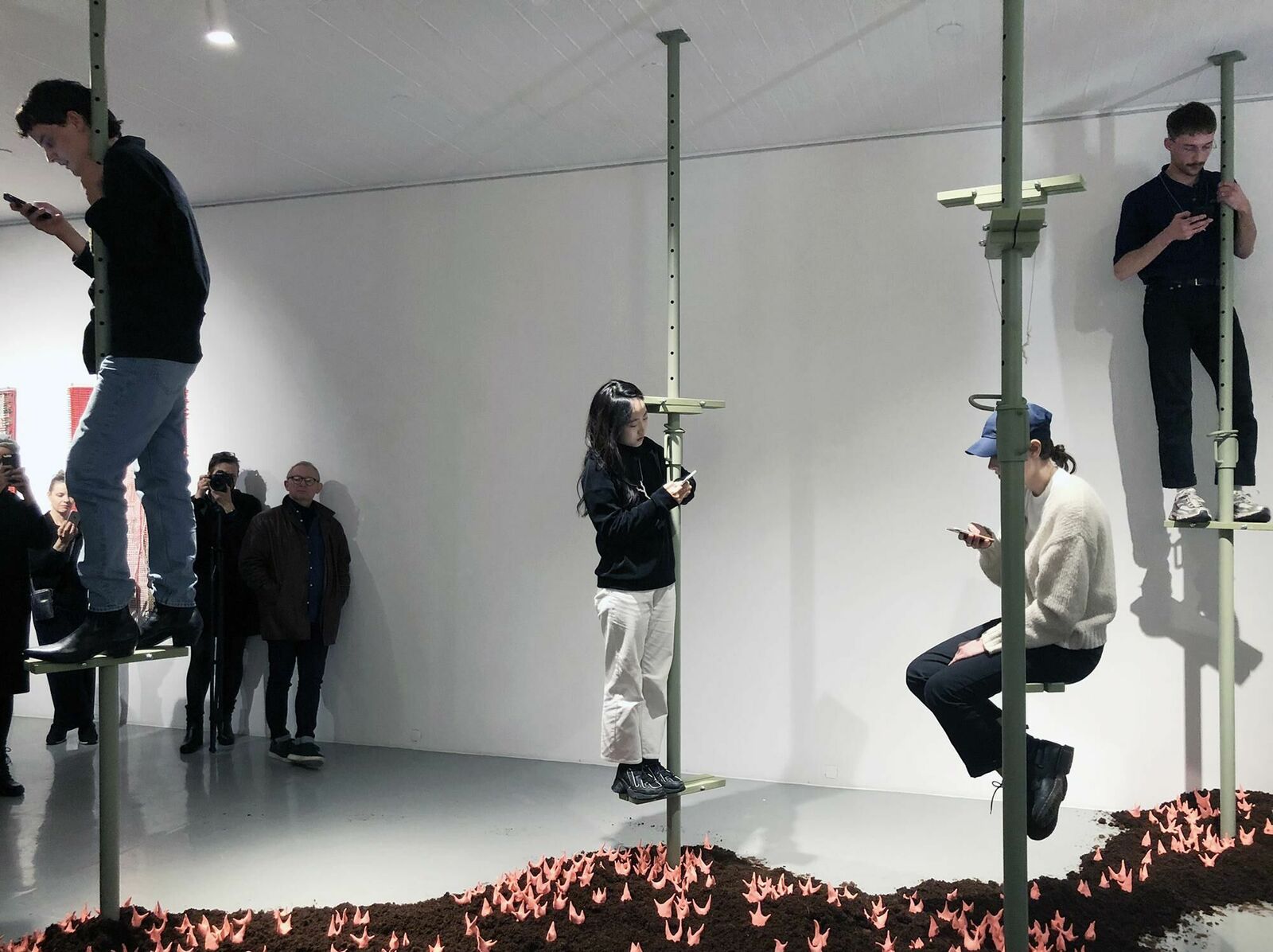 Gallery image of the project Walter Palmer Shot A Lion: The Sequel