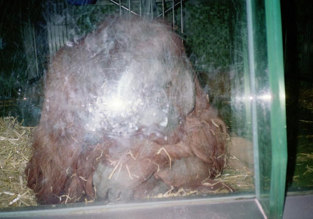 Cover image of the project Plötzlichkeit