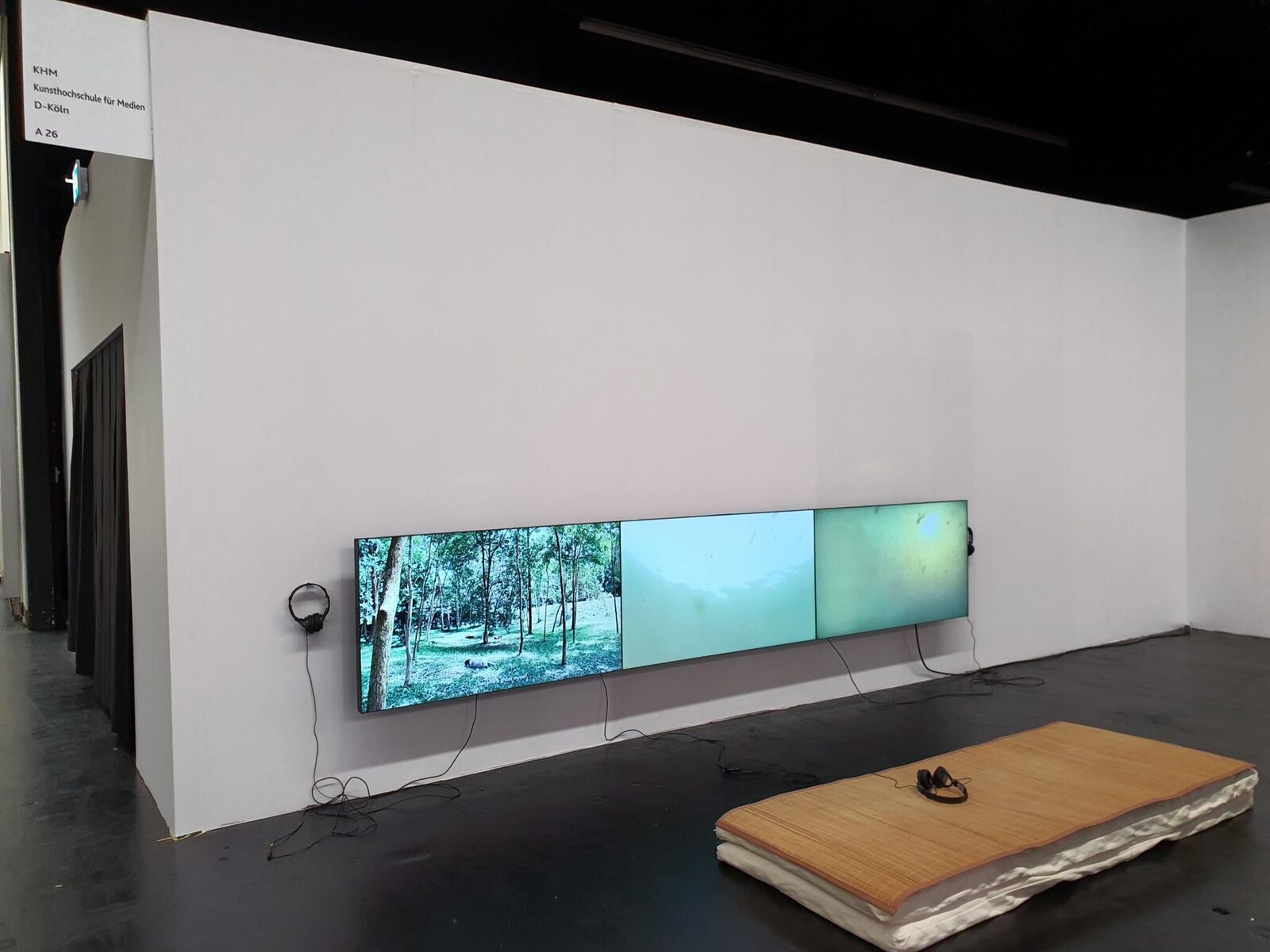 Gallery image of the project Crimson Sap Flowing Through My Veins