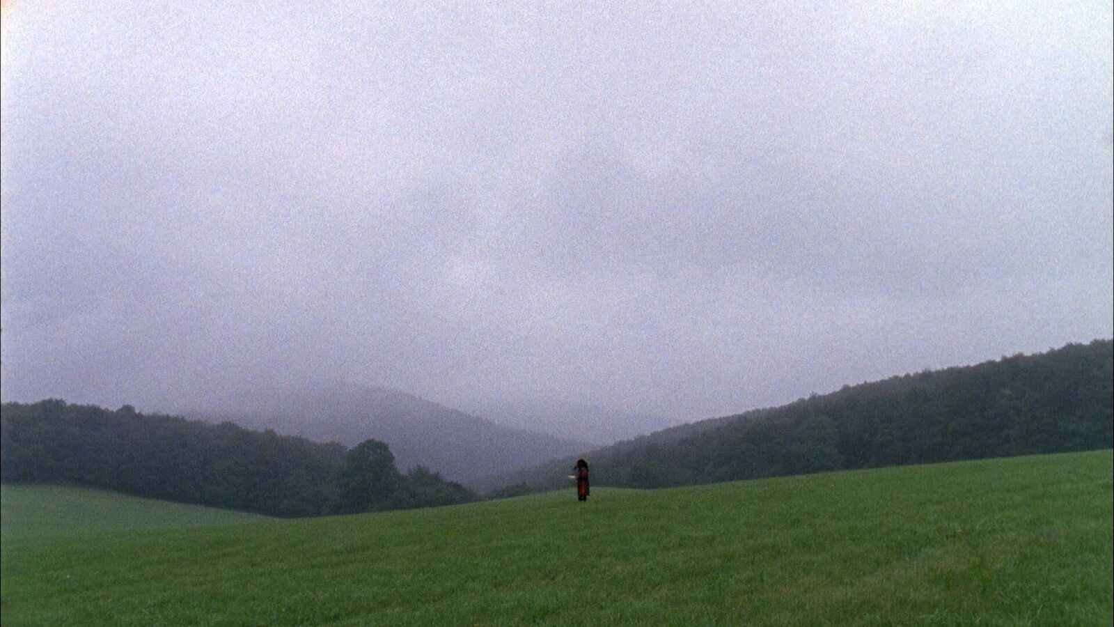 Gallery image of the project ATROPA