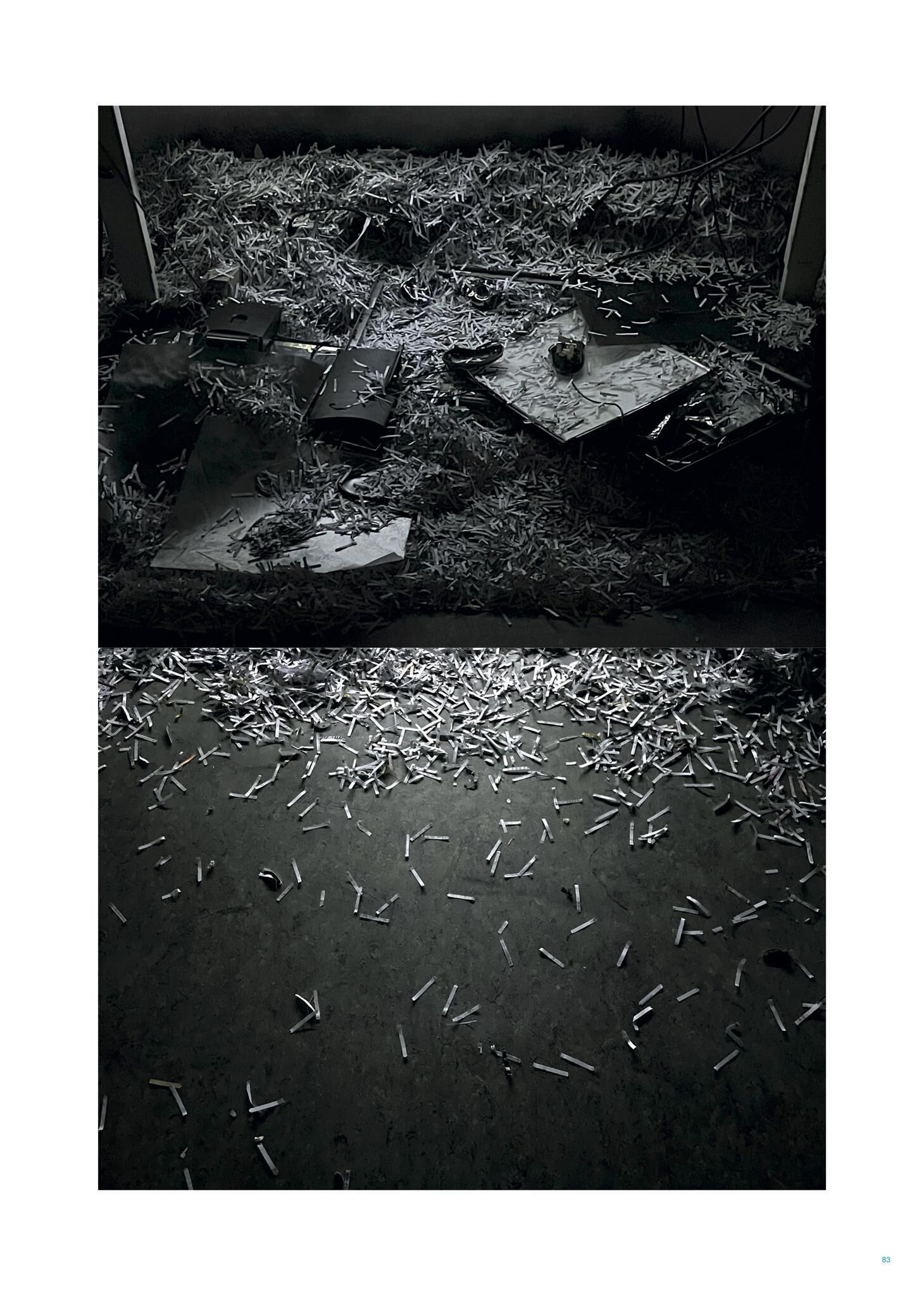 Gallery image of the project FALSE SPRING