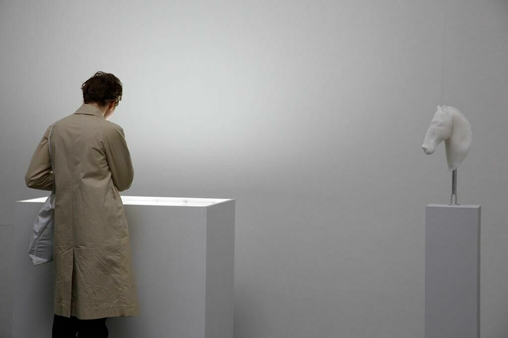 Cover image of the project Horsey face 