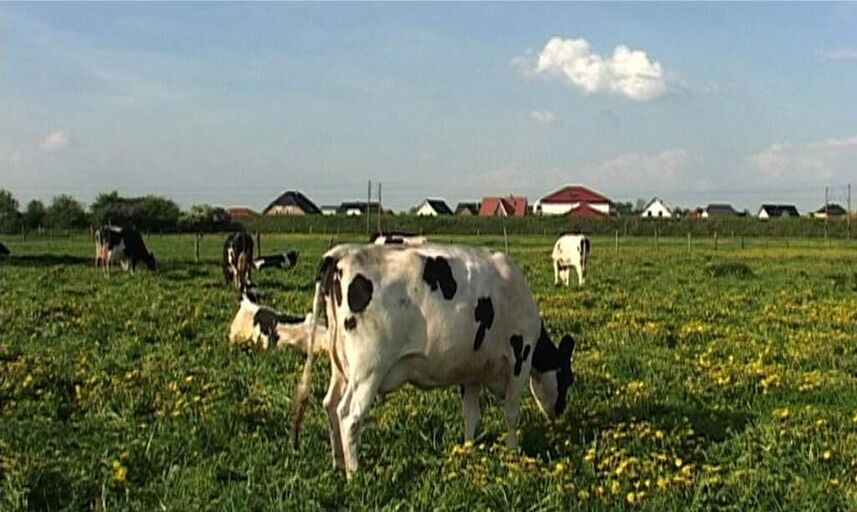 Cover image of the project HUKL – Scenes from the Plains of Northern Germany