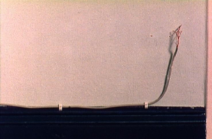 Gallery image of the project Die Chomsky-Hierarchie