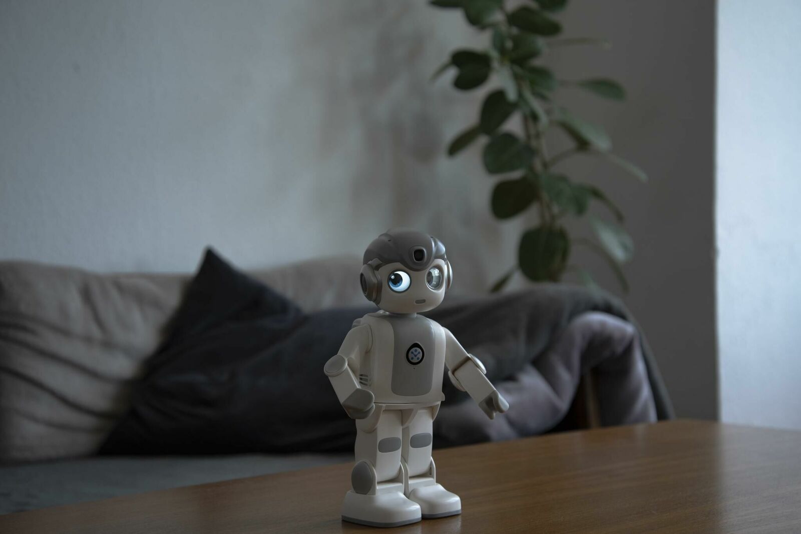 Cover image of the project Robin – Wie technologische Systeme zur Erosion von individueller Autonomie und Meinungsbildung beitragen