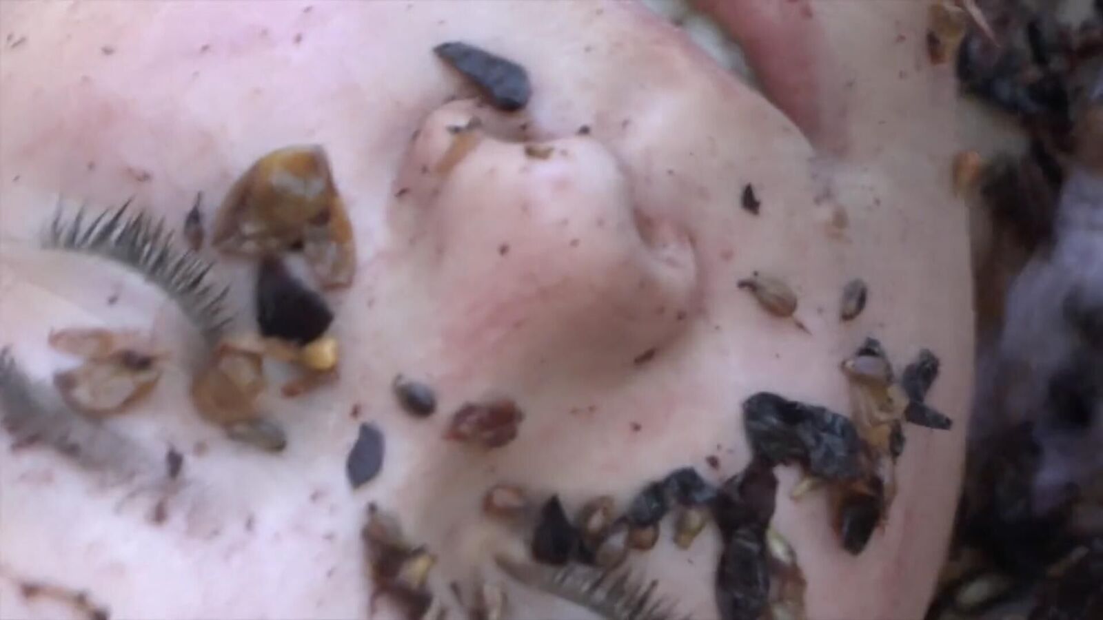 Gallery image of the project Vino Dance