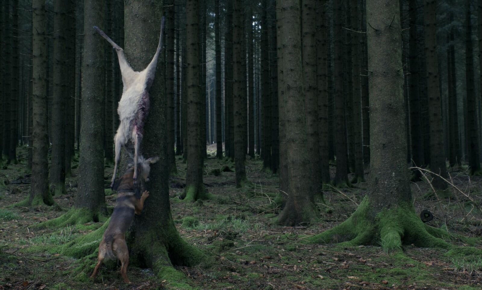 Gallery image of the project M.