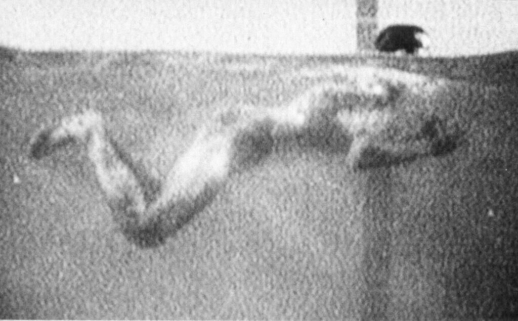 Cover image of the project Verstärker