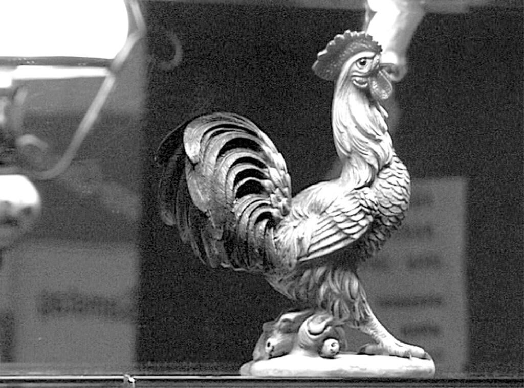 Cover image of the project Hähnchen Ewald 