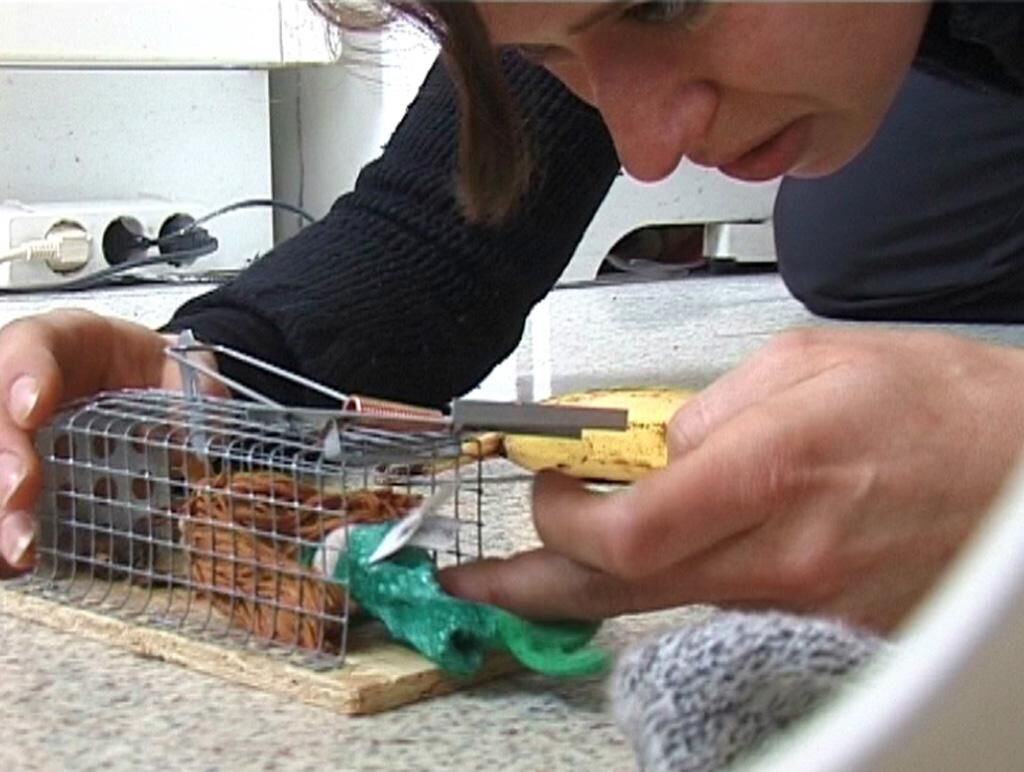 Gallery image of the project Ohne Titel (Sylvie)