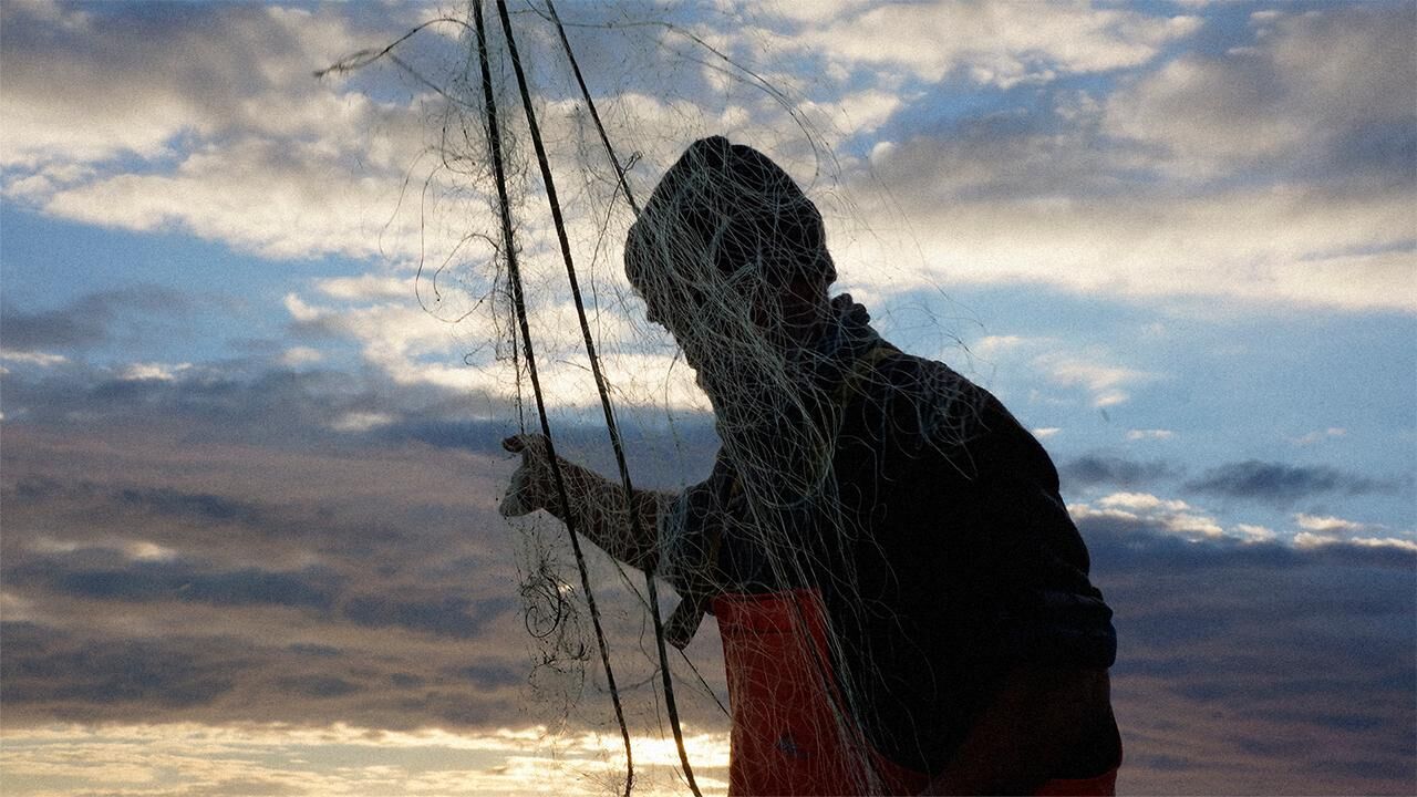 Cover image of the project with my thoughts on the sea