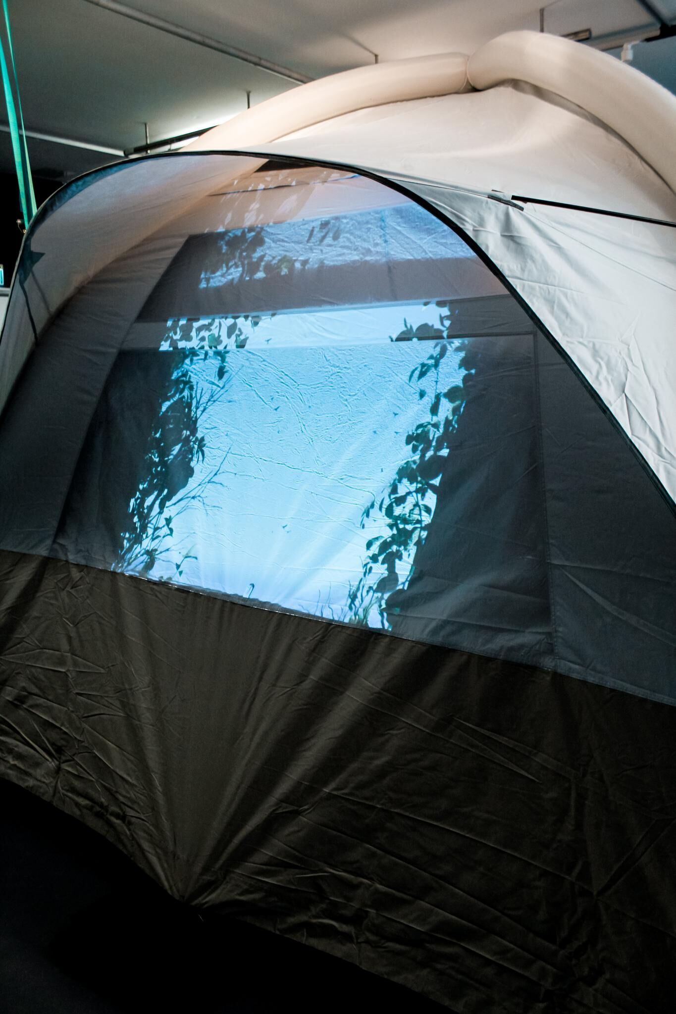 Gallery image of the project Liminal Beings and curs of stages Atavism