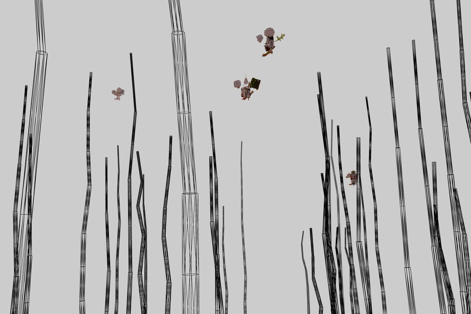 Gallery image of the project The Invisible Warbler